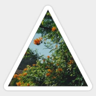 Tropical Floral Triangle Sticker